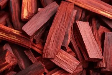 Red Sandalwood — The Precious Tree of Prosperity