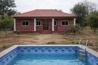 Red Sandalwood Plantation